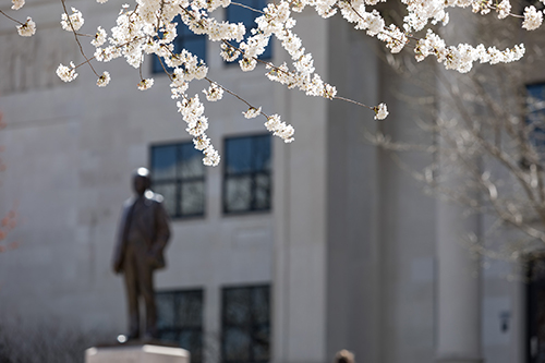 WKU selects 15 for 2021-22 Cherry Presidential Scholarship