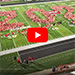 WKU Wins Marketing Award for M.A.S.T.E.R. Plan Video