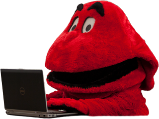 Big Red using a laptop