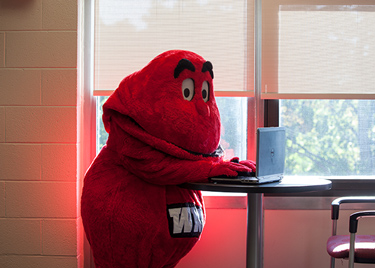 Big Red using a laptop computer at a table