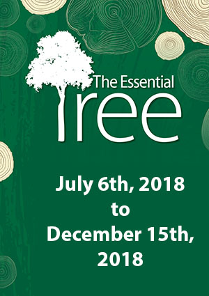 The Essential Tree