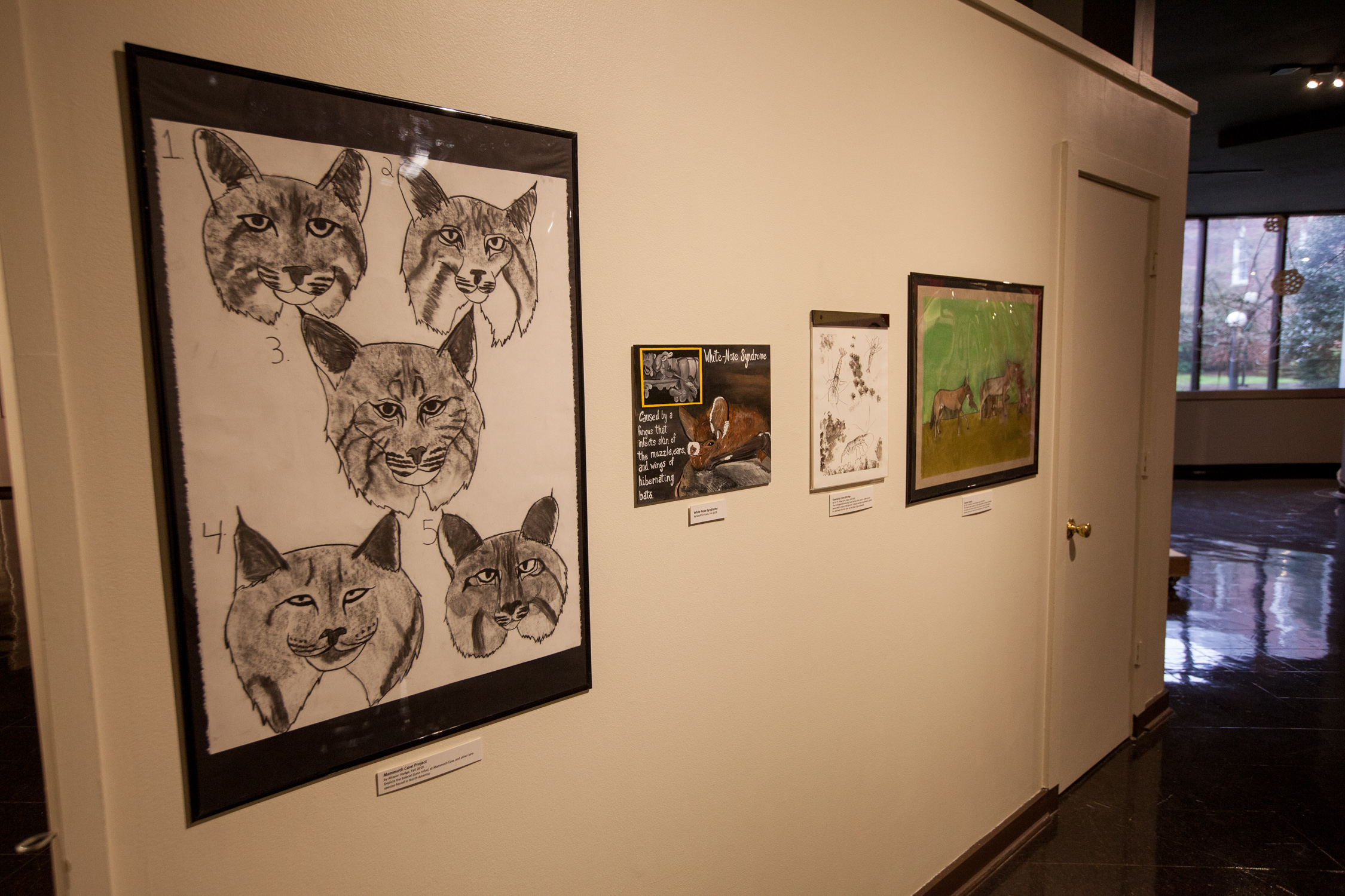 Student artworks in the Gazing Deeply exhibit