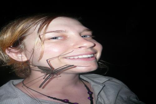 Morgan and Whip Scorpion