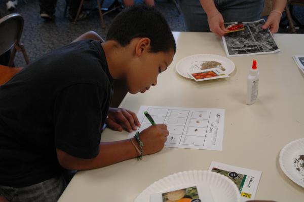 Families identify seeds