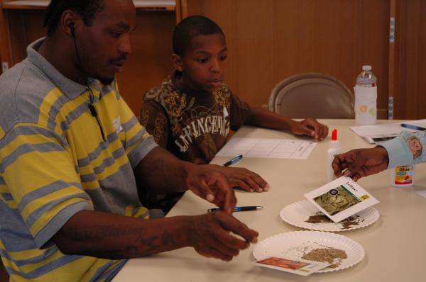Families identify seeds