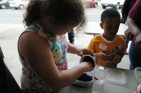 Child plants tomato seeds