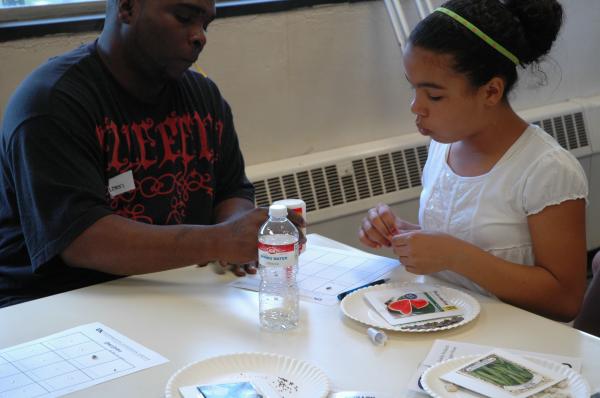 Families identify seeds