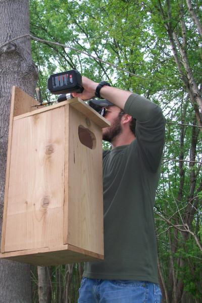 mounting box to tree