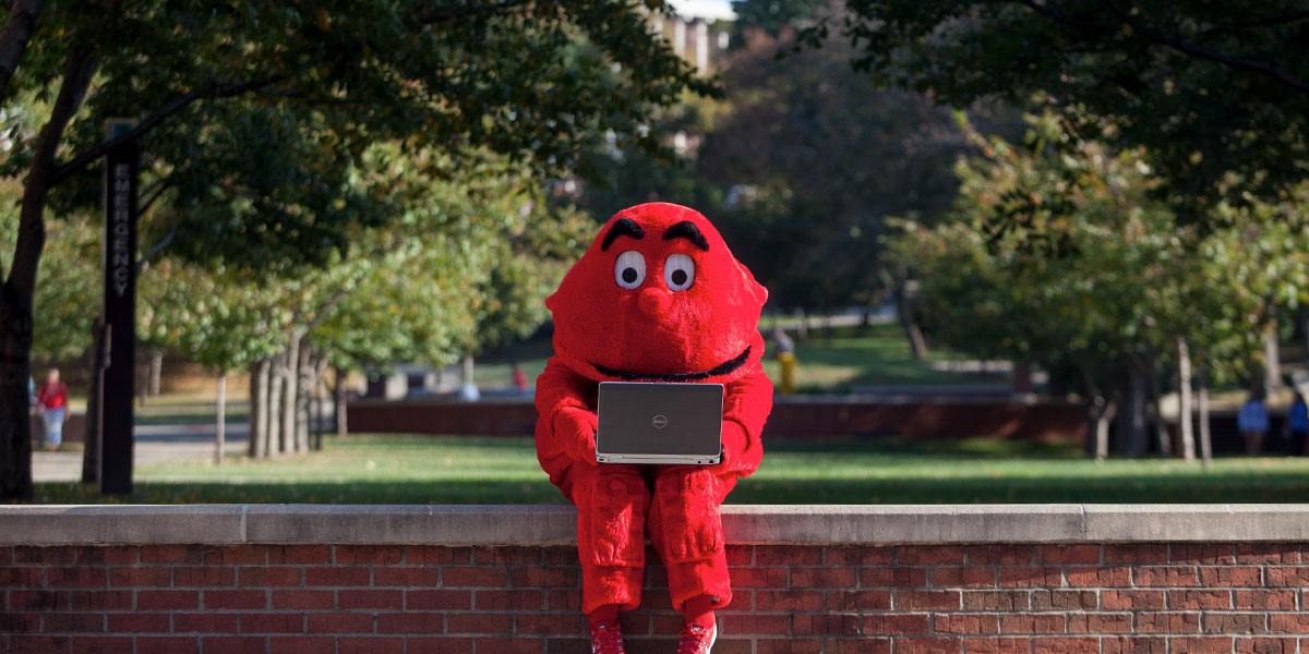 Big Red using a laptop outside on WKU's campus