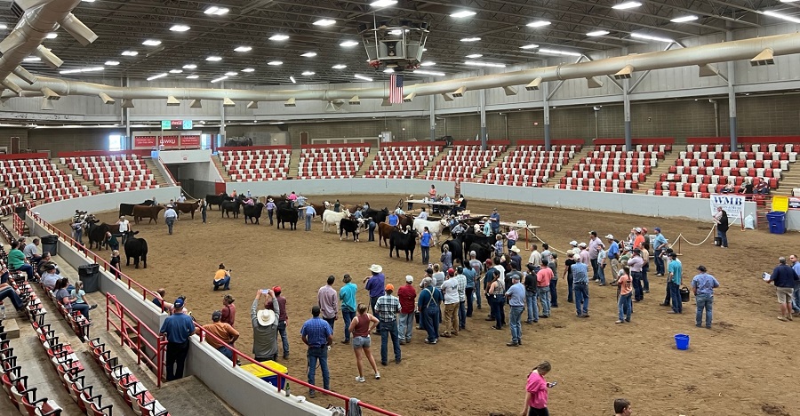 Kentucky Junior Cattleman's Association Fall Classic 2023