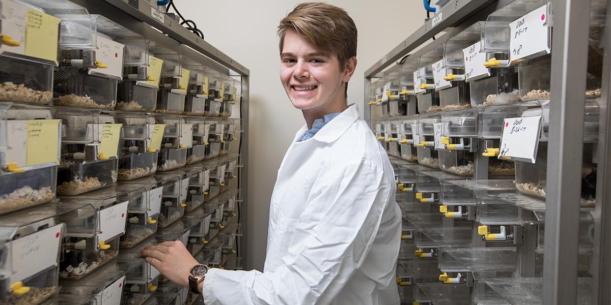 Reinhard Matthew Knerr
WKU, Department of Biology
Mentor: Dr. Noah Ashley