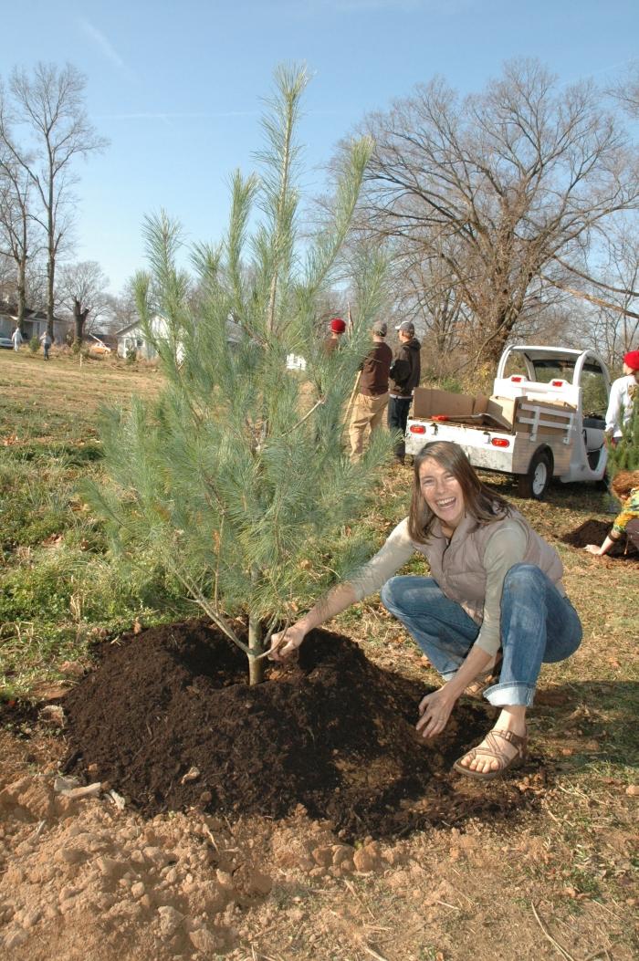 Beth McGrew enjoying her work, planting pine trees.