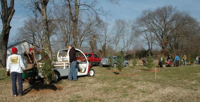 volunteers installing pine trees and spreading mulch