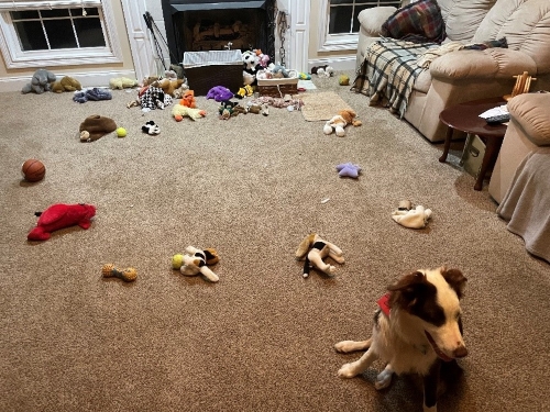 SunSketcher honorary team member Ramsey Emslie proudly displays his model of the Baily’s Beads seen during a solar eclipse.