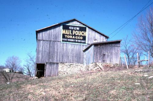 Old Barn with Mail Pouch Sign Williamstown, KY (Bn7)