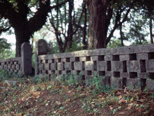 Rock Fence Bowling Green, KY (Fe12)