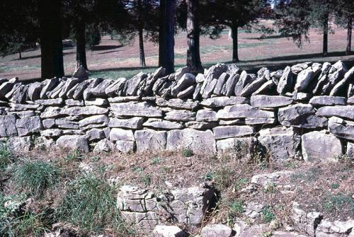 Rock Fence Bowling Green, KY (Fe59)