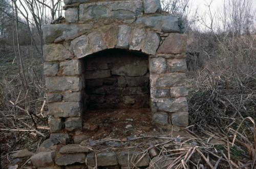 Stone Fireplace, Skew Arch, Allen Co., KY (Cy12)