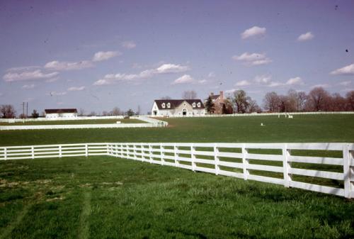 Plank Fence Shadow Lawn Farm, Midway, KY (Fe40)