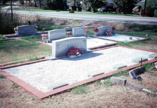 Grave Covered with Shedrock Macedonia, GA (MS235)
