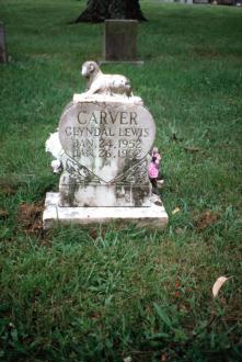 Carver Grave, Bethelhem Baptist Church, Scottsville, KY (MS184a)