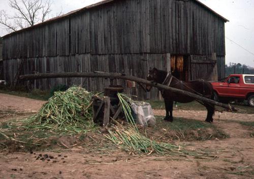 Cane Mill, Ellis Farm, Gravel Switch, KY (To26)