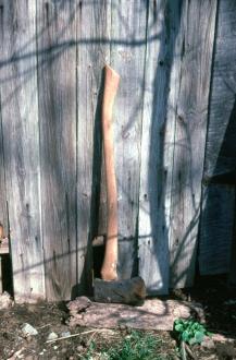 Poll Axe, owned by Emerson Simpson, Williamstown, KY (To29)