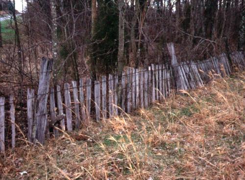 Slat Fence Short Creek, KY (Fe22)