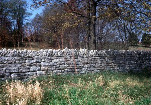 Rock Fence Millersburg, KY (Fe8)