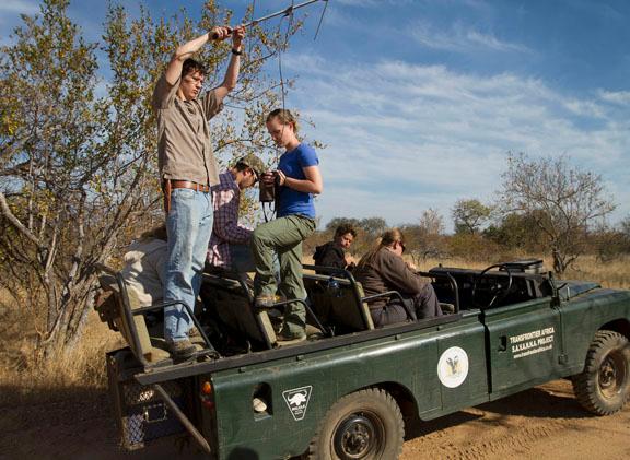 While looking for black rhinos in the Olifants West Nature Reserve in South Africa, Clark (left) and Beyke search for radio signals emitted by collars worn by the rhinos.