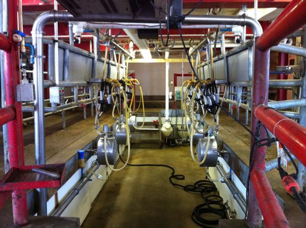 Dairy Parlor at WKU Farm