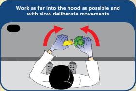 Work as far into the hood as possible