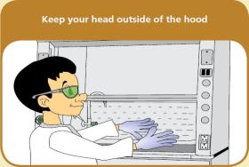 Keep your head outside of the hood