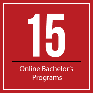 15 Bachelor's Programs Image