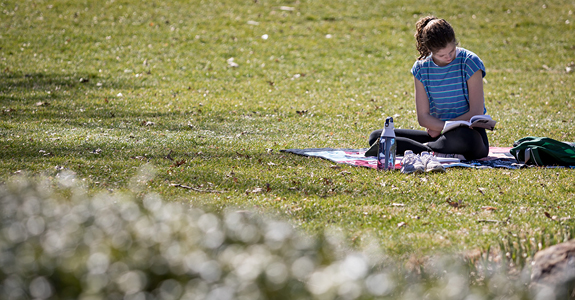Studying on the lawn