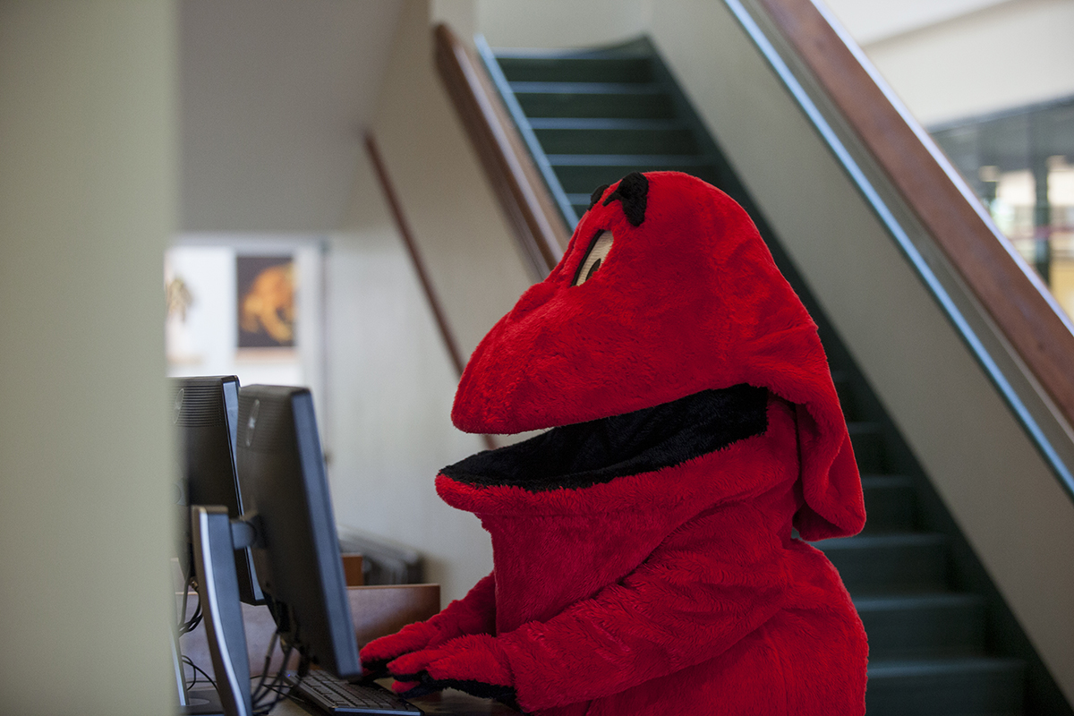 Big Red on a Computer