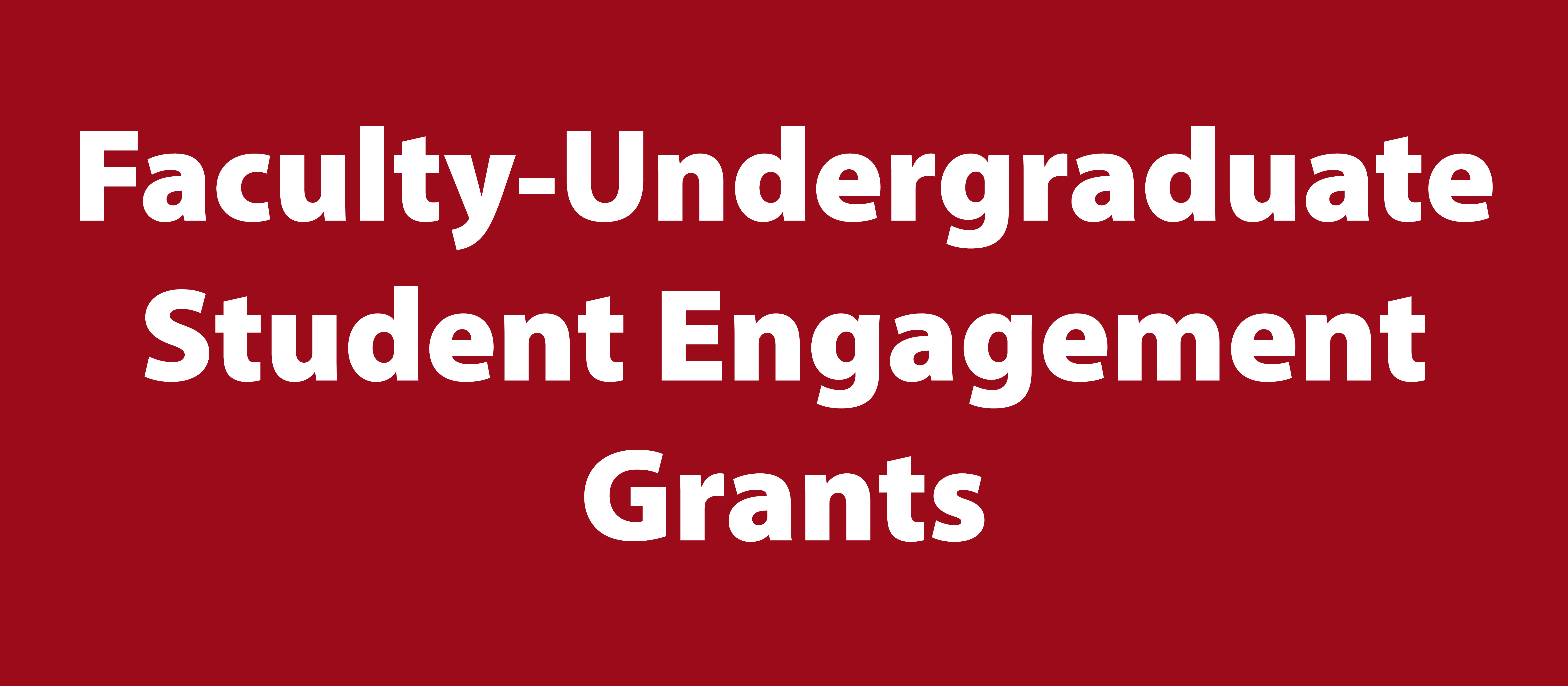 Faculty-Undergraduate Student Engagment Grants
