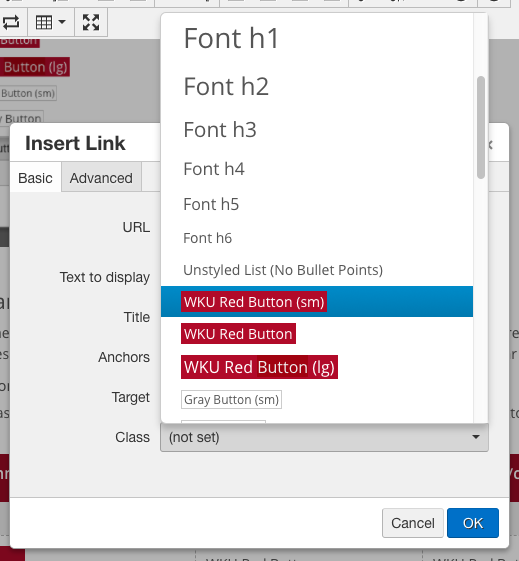Insert/Edit Link dialog showing Class options
