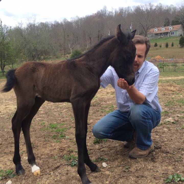 Andy Mienaltowski with his baby horse