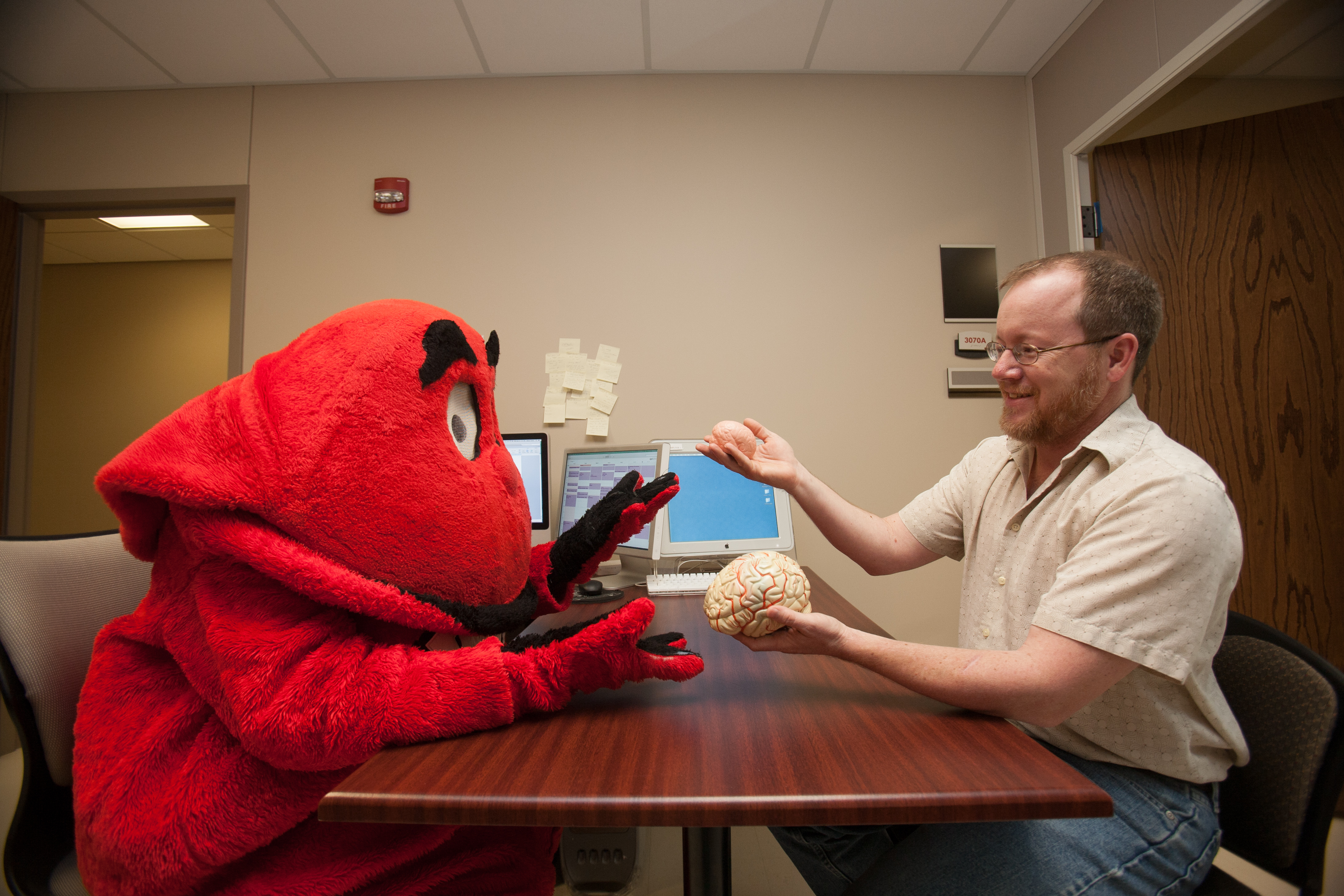 WKU professor shows brain figurines to Big Red.