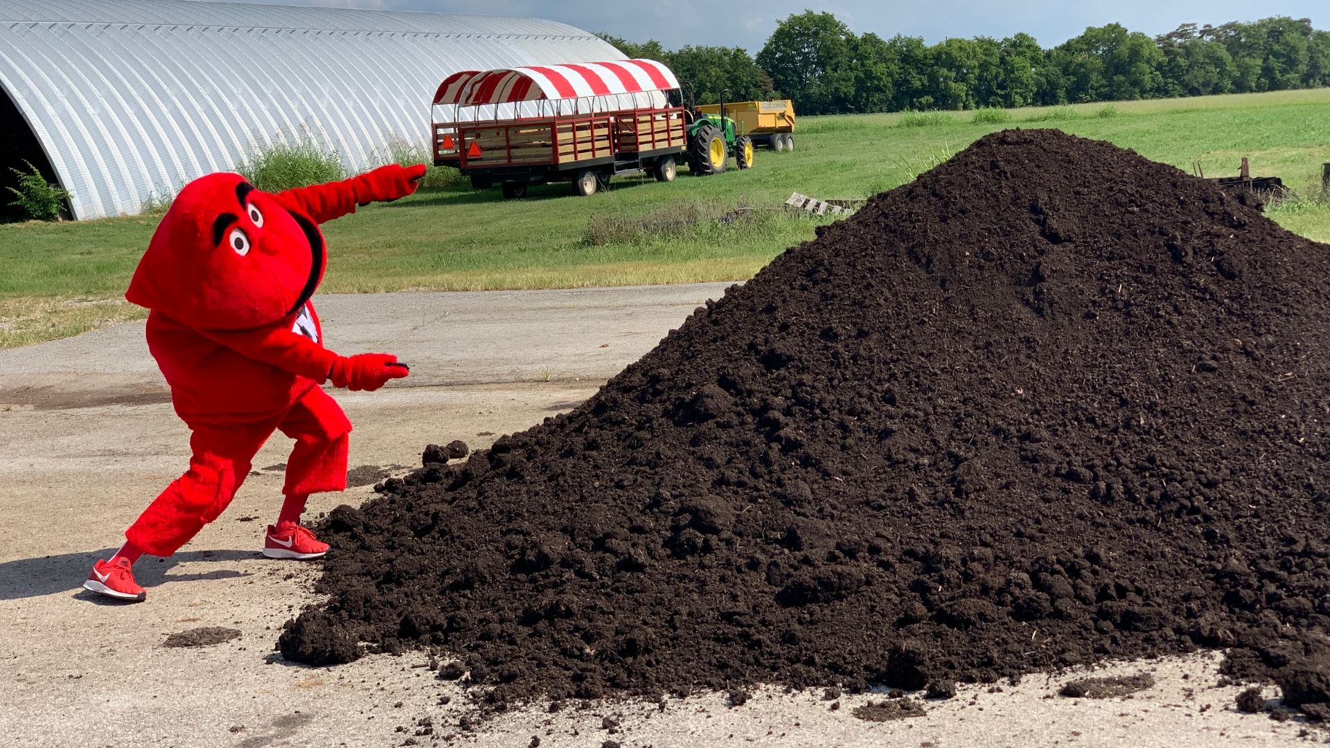Big Red points to a pile of finished compost