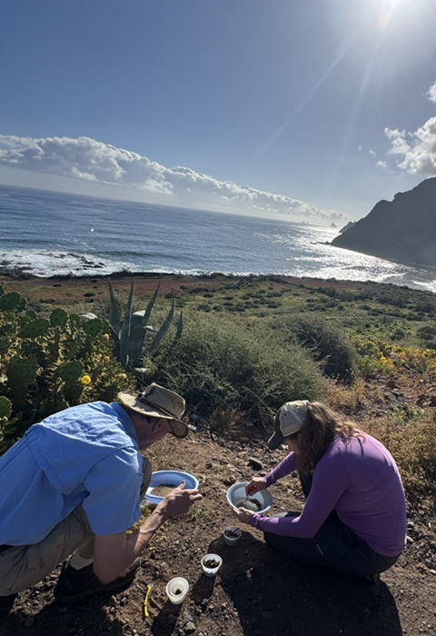 student doing fieldwork, data collection, or scholarly research outdoors