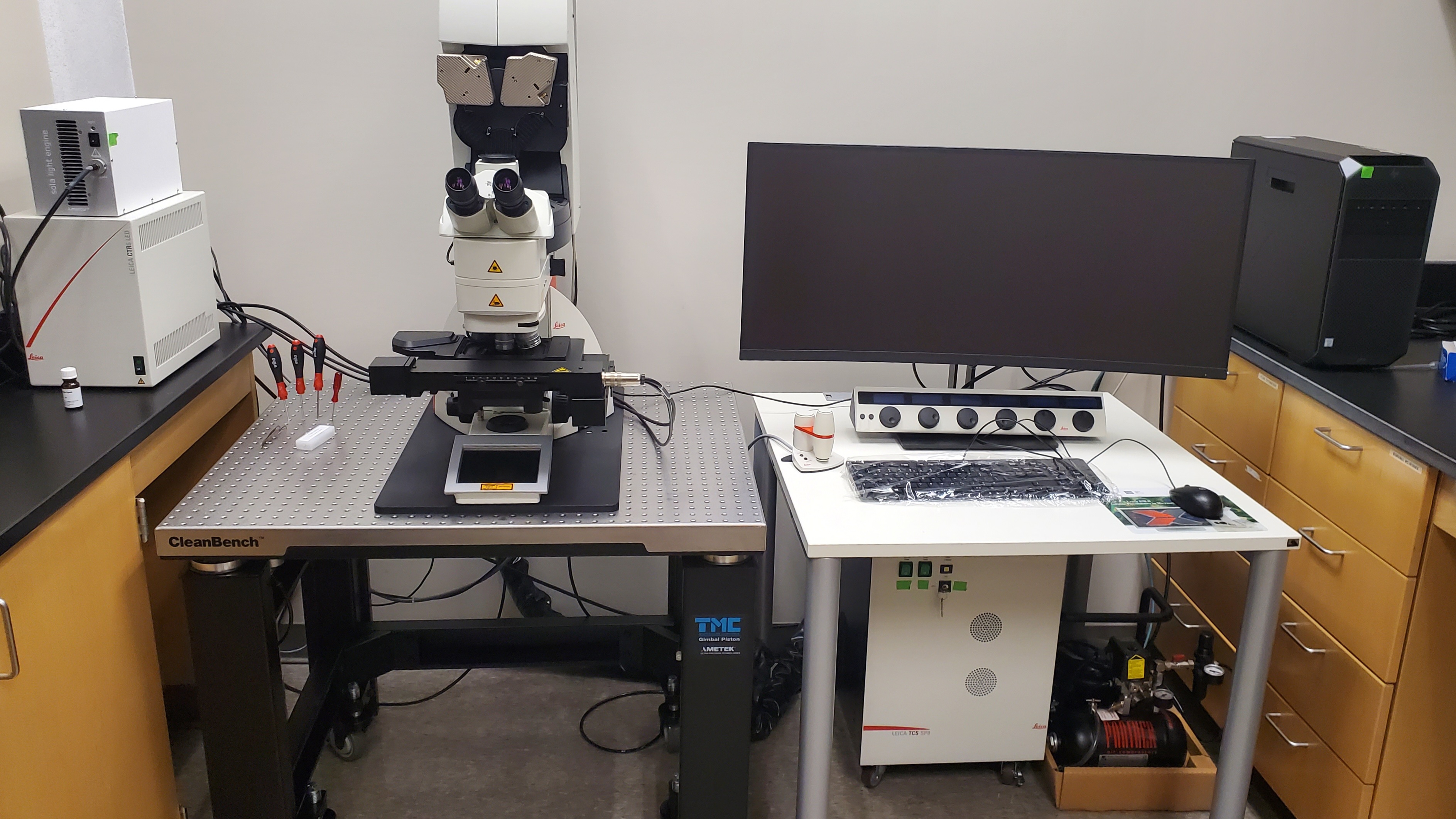 Confocal Microscope in action... Video Preview