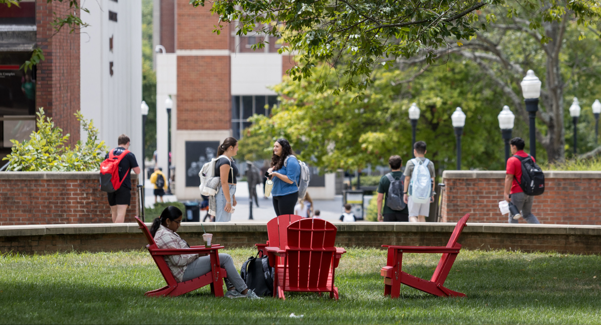 Your Climb, Our Commitment