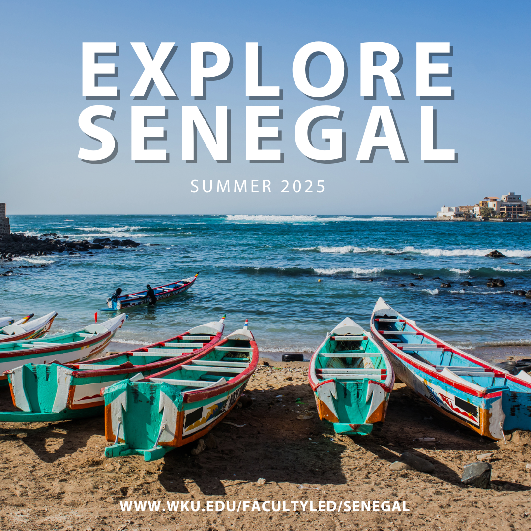 Senegal Summer 2025