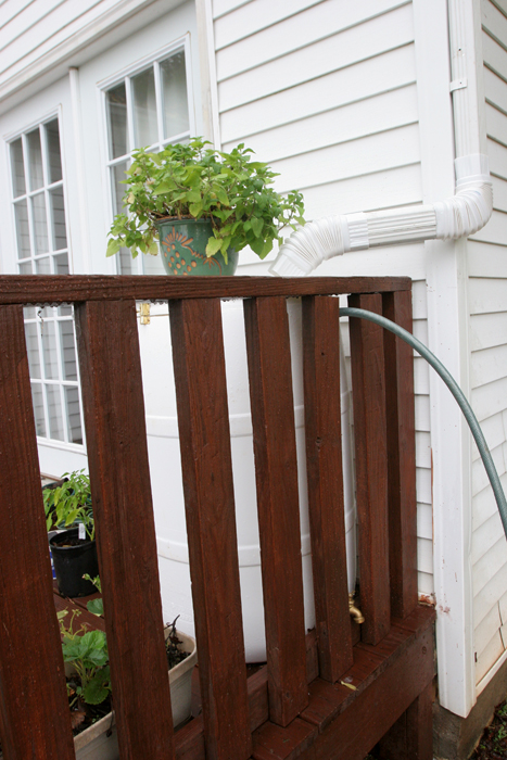 Rain barrel made by Kathlyn Kinney rain barrel