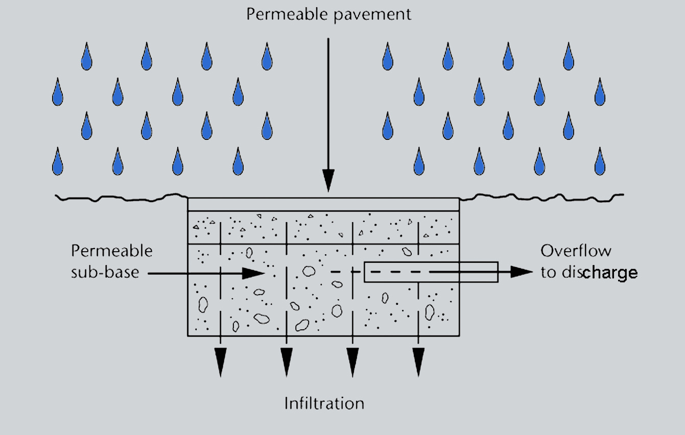 Sustainability in Transportation Western Kentucky University