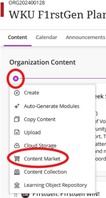 Select Content Market