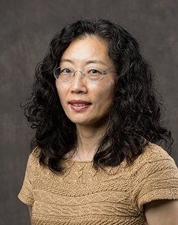 Dr. Mi An